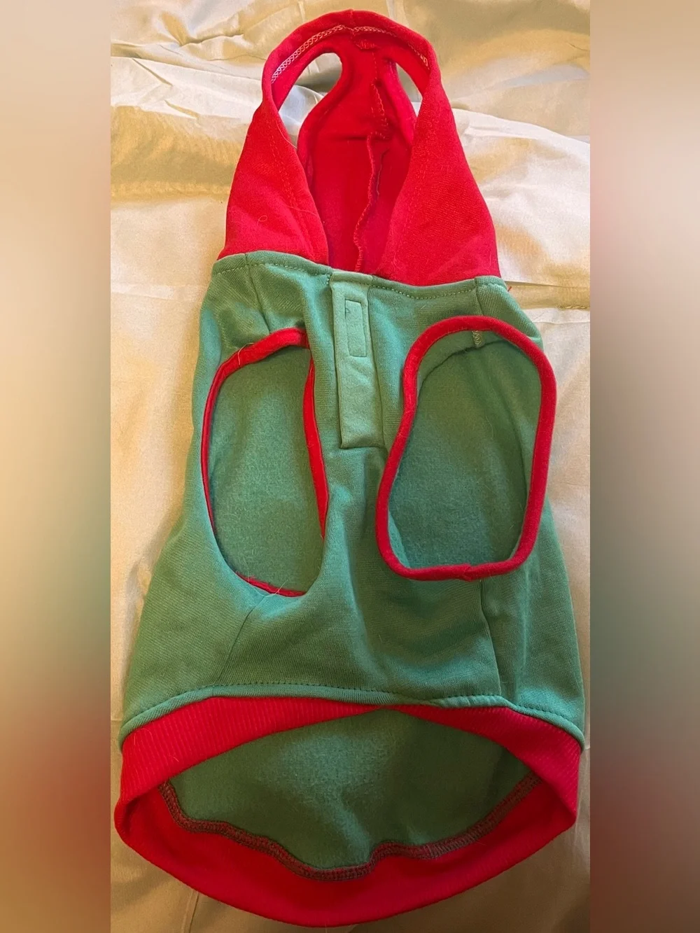 Petsmart festive pet